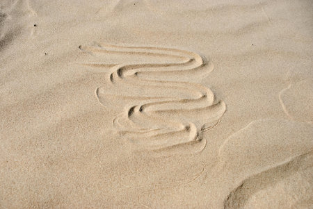 Curved patterns in smooth beige sand dunes.