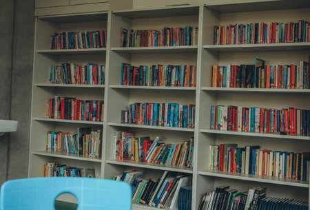 Schwabisch Gmund, Germany-November 12,2022: School library in a German school