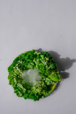 the concept of mold and plastic on a white background