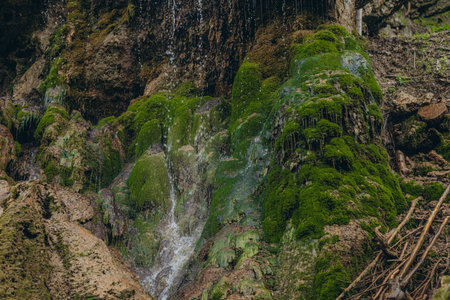 Water flows over the stones overgrown with moss in green forest.