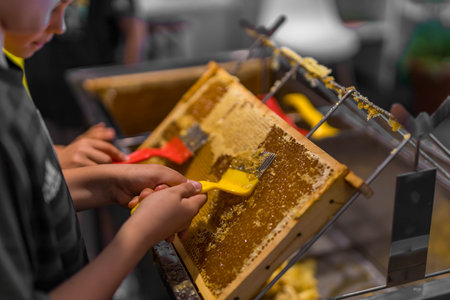 Using beekeeping tools for opening wax cells full of ready product.
