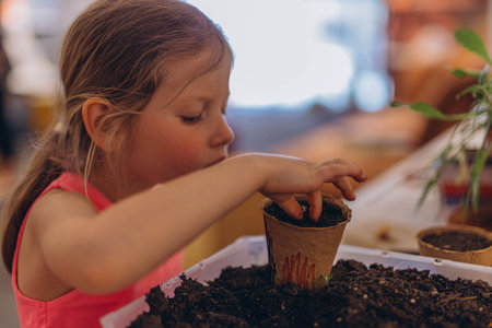 Girl planting seeds for seedlings in small recyclable peat pots, seedling container.Children learn to growの写真素材