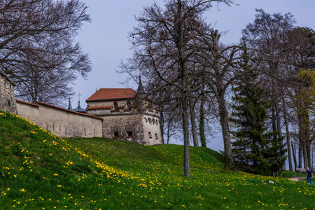 Honau GERMANY- April 7, 2024. View of the buildings in the courtyard of Liechtensteinのeditorial素材
