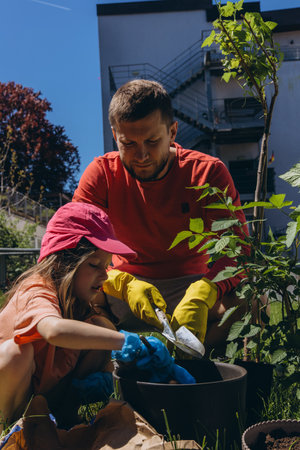 Father and daughter plant flowers together in a sunny backyard, wearing colorful gloves and casual...