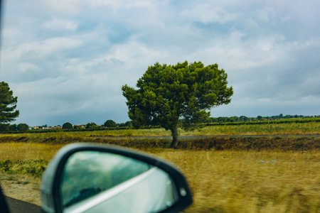 Lonely green tree stands in a sunny countryside field, viewed from a car window. Rural landscape with cloudy sky, dry grass, and a peaceful road trip atmosphere in summer. High quality photoの写真素材