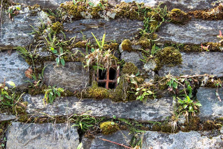 Ancient wall made of natural rocks with window-like water-drain pipe in the center and with plants...