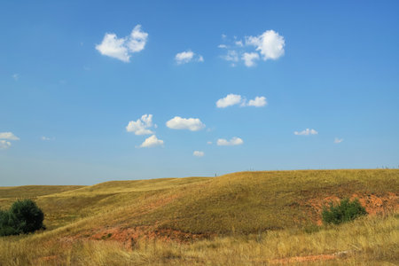 A grassy plain under the blue sky with white fluffy clouds in a sunny day as a backgroundの写真素材