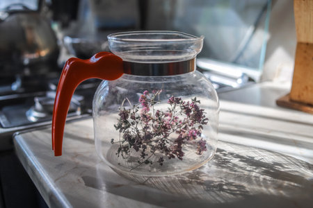 Dried oregano flowers in a teapot. Making organic herbal tea at home in a summer dayの写真素材