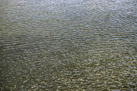 Ripples on the water surface as an abstract natural background. Photo in perspectiveの写真素材