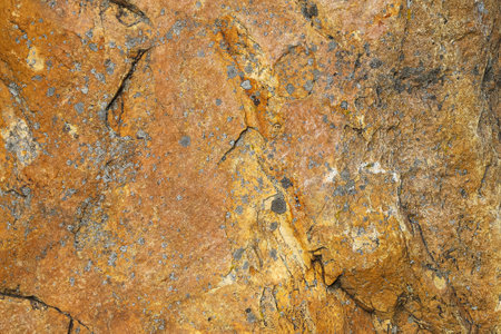 Closeup of a yellow and orange stone covered with black lichen as an abstract natural geological...