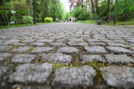 Closeup of an old stoneblock road cobbled with rectangular granite blocks with moss between rocks....