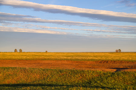 Yellow, green and orange grassy land under the blue sky with stripes of clouds as a natural backgroundの写真素材