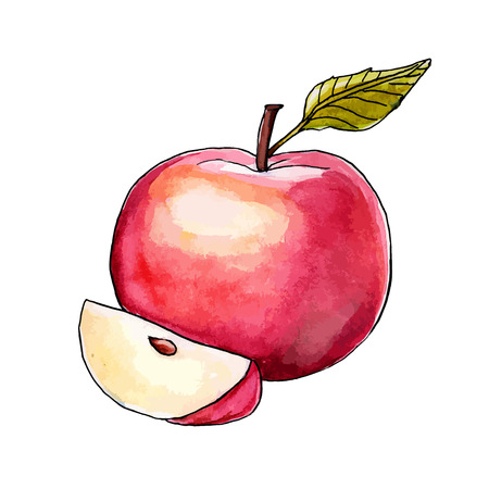 Painted in watercolor apple on a white backgroundのイラスト素材