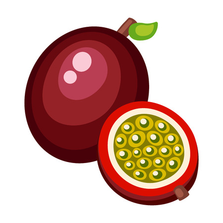 Cartoon maracuja on a white background. Maracuja Icon in Color. Vector illustrationのイラスト素材