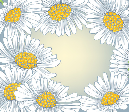 background with hand-drawn daisiesのイラスト素材