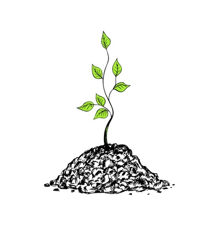 illustration of tree sapling on white backgroundのイラスト素材
