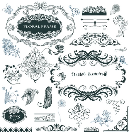 Collection of hand drawn design elements and flowersのイラスト素材