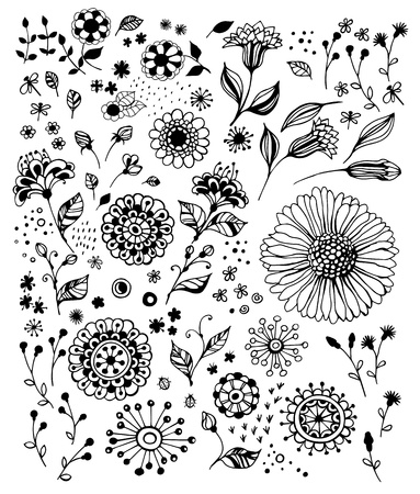 Set of various decorative flowers for designのイラスト素材