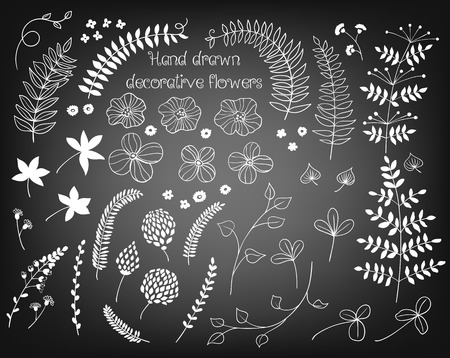 Collection of various hand - drawn flowers on chalkboard background.のイラスト素材