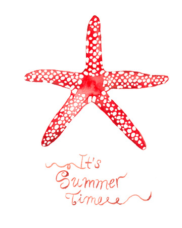 Watercolor starfish. Summer vacation related illustration.の写真素材