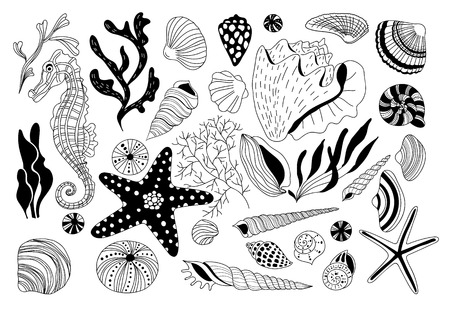 set of underwater creatures and seaweeds. Various shells and sea horse.のイラスト素材