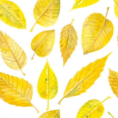 Yellow autumn leaves. Watercolor seamless pattern design.の写真素材