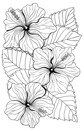 Bouquet of hibiscus flower and tropical leaves on white backgroundの写真素材