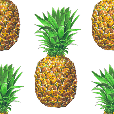 Pineapple fruit seamless pattern. Hand drawn element for design.の写真素材