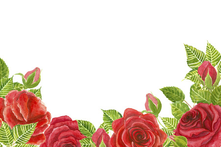 Red roses forming border painted in watercolor. Template design for weding invitations, cards and more. White background with space for text.の写真素材