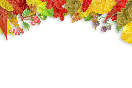 Watercolor autumn background with various colorful leaves forming border on white background with space for text.の写真素材