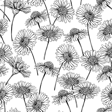 Hand drawn daisies seamless pattern in black and white. Element for design.のイラスト素材