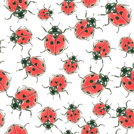 Ladybugs  painted with ink and watercolors, seamless pattern for design.の写真素材