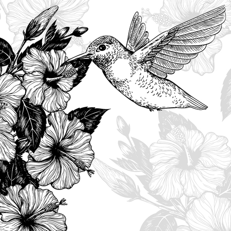Hand drawn tropcal card with hibiscus flowers and hummingbird Template design.のイラスト素材