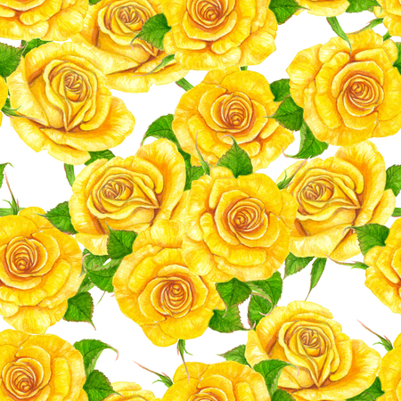 Seamless pattern made of yellow roses painted with watercolors. Element for design.の写真素材