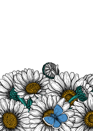 Daisy flowers and common blue butterfly  forming border on white background with space for text.のイラスト素材