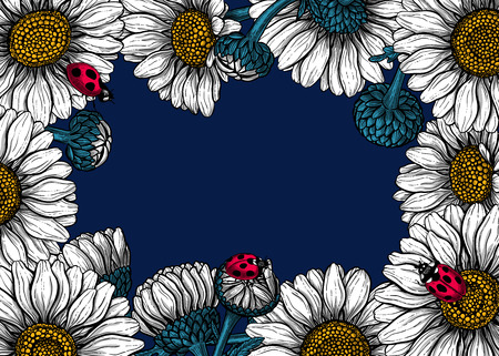 Daisy flowers and ladybugs forming frame on dark blue background with space for textのイラスト素材