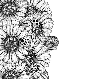 Daisy flowers and ladybugs forming border on white background with space for text.のイラスト素材