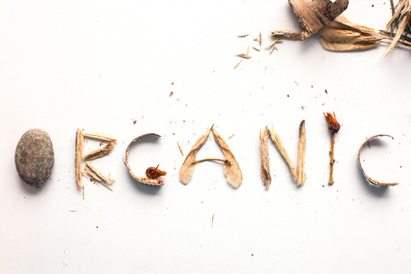 organic text from forest elements, flat lay craft letteringの写真素材