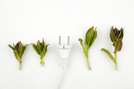 Disconnect, unplug - concept pict about getting free from technologies and modern life linksの写真素材