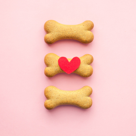 Set of bone-shaped biscuits for dog on pink background, concept pet care