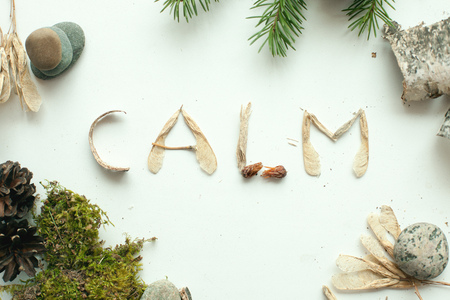 mindfulness calmness unplug concept, word calm from forest natural materialの写真素材