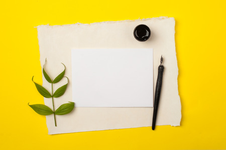 Paper, ink and calligraphy pens. Lettering workshop details. Blank for text on a bright yellow background.の写真素材