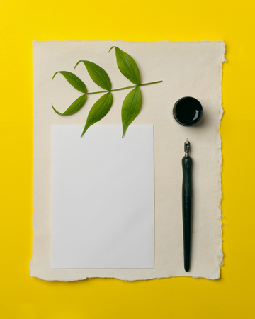 Lettering workshop details. The view from the top. tools for calligraphy on a bright yellow background. The concept of creative summer, comprehension and purity.の写真素材
