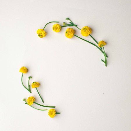 Flowers composition. Wreath made of various yellow flowers and green leaves and branches on pastel...