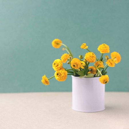 Bouquet of yellow flowers in a bank. Floral decoration. Spring and summer time minimal close up