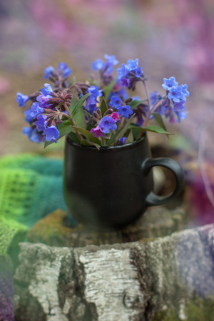 Cup of tea with flowers and warm plaid blanket on wooden stump, picnic in the autumn forest. Fall weekend. Photo toned, selective focusの写真素材