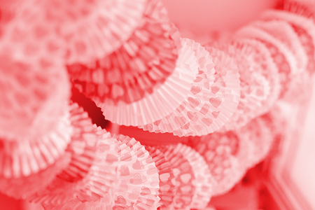 Paper saint valentine garland with heart, color of year living coral tonedの写真素材