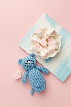 A small knitted baby toy-cat, nitebook and sweetness marshmallow on pink pastel background, flat lay, top view, copy spaceの写真素材
