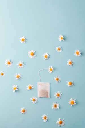 Herbal alternative medicine series, Chamomile flowers and teabags on blue background. Seasonal anti-depression, stomach and colds remedy treatmentの写真素材