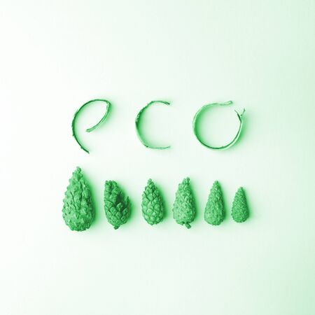 eco natural organic text from forest deteails eco-friendly, ecology lettering, conceptual minimalism, neo mint pastel trendy monochrome backgroundの写真素材